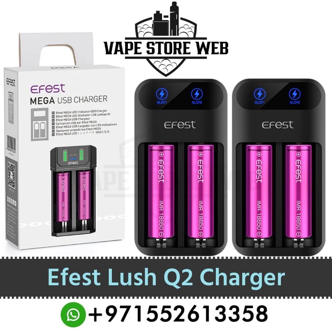 EFEST Lush Q2 Battery Charger in Dubai