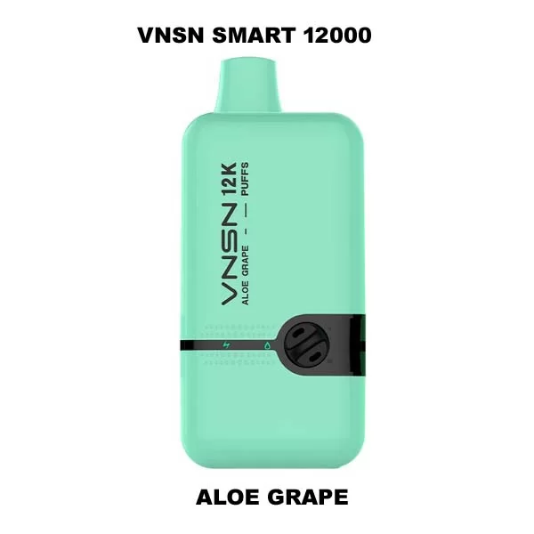 Best Vnsn Smart 12000 Puffs Disposable Vape In Dubai, UAE