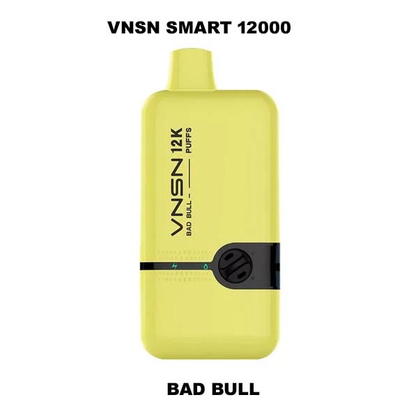 VANS Smart 12000 Puffs 50Mg Disposable Vape in Dubai - Image 6