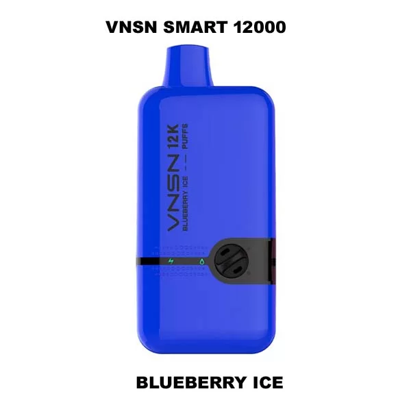 VANS Smart 12000 Puffs 50Mg Disposable Vape in Dubai - Image 4