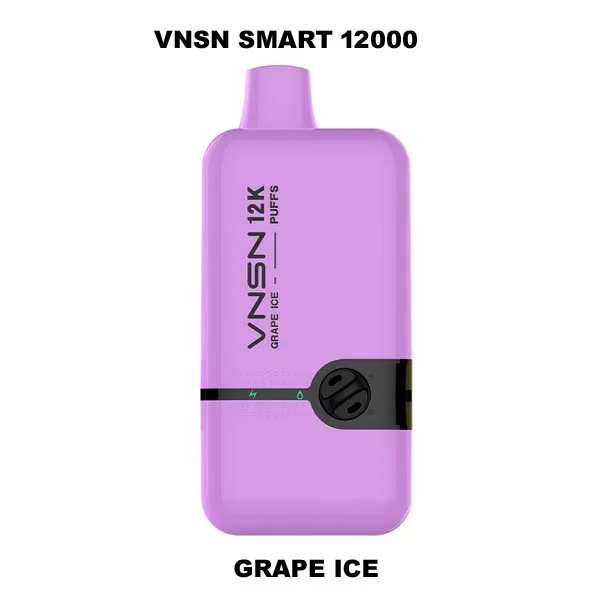 Best Vnsn Smart 12000 Puffs Disposable Vape In Dubai, UAE
