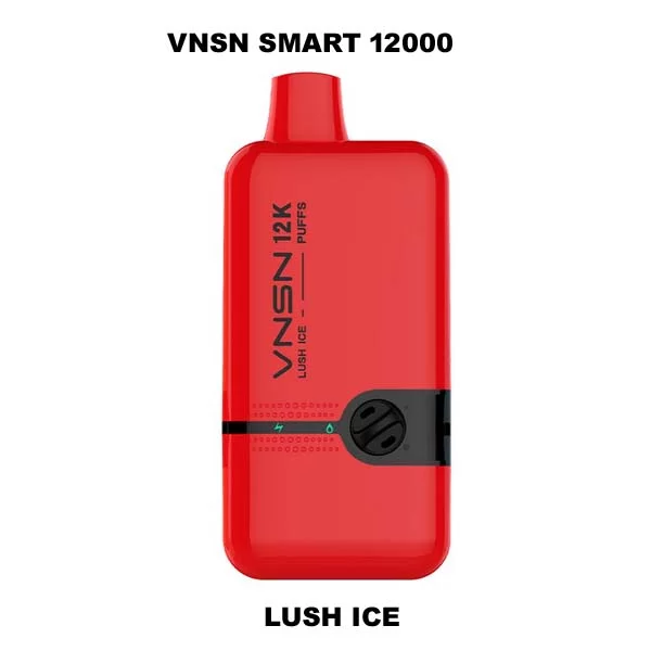 Best Vnsn Smart 12000 Puffs Disposable Vape In Dubai, UAE