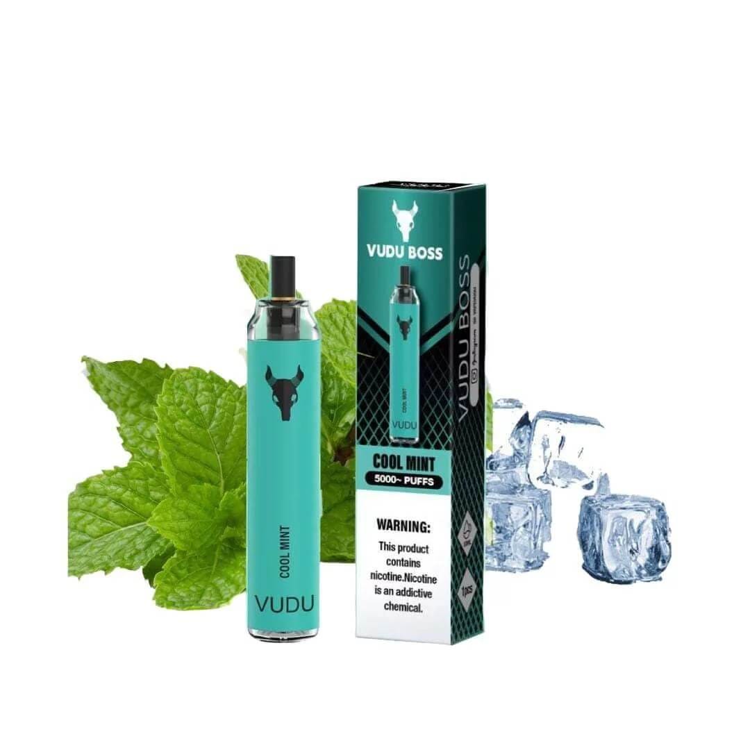 VUDU Boss 5000 Puffs 50MG Disposable Vape In Dubai - Image 14