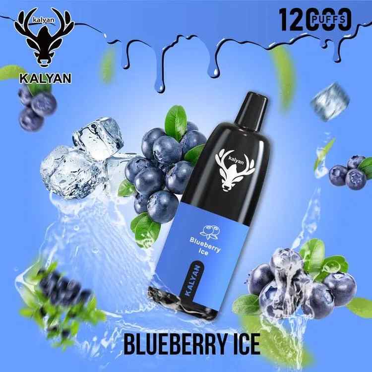 KALYAN Pro 12000 Puffs 50mg Disposable Vape in Dubai, UAE - Image 24