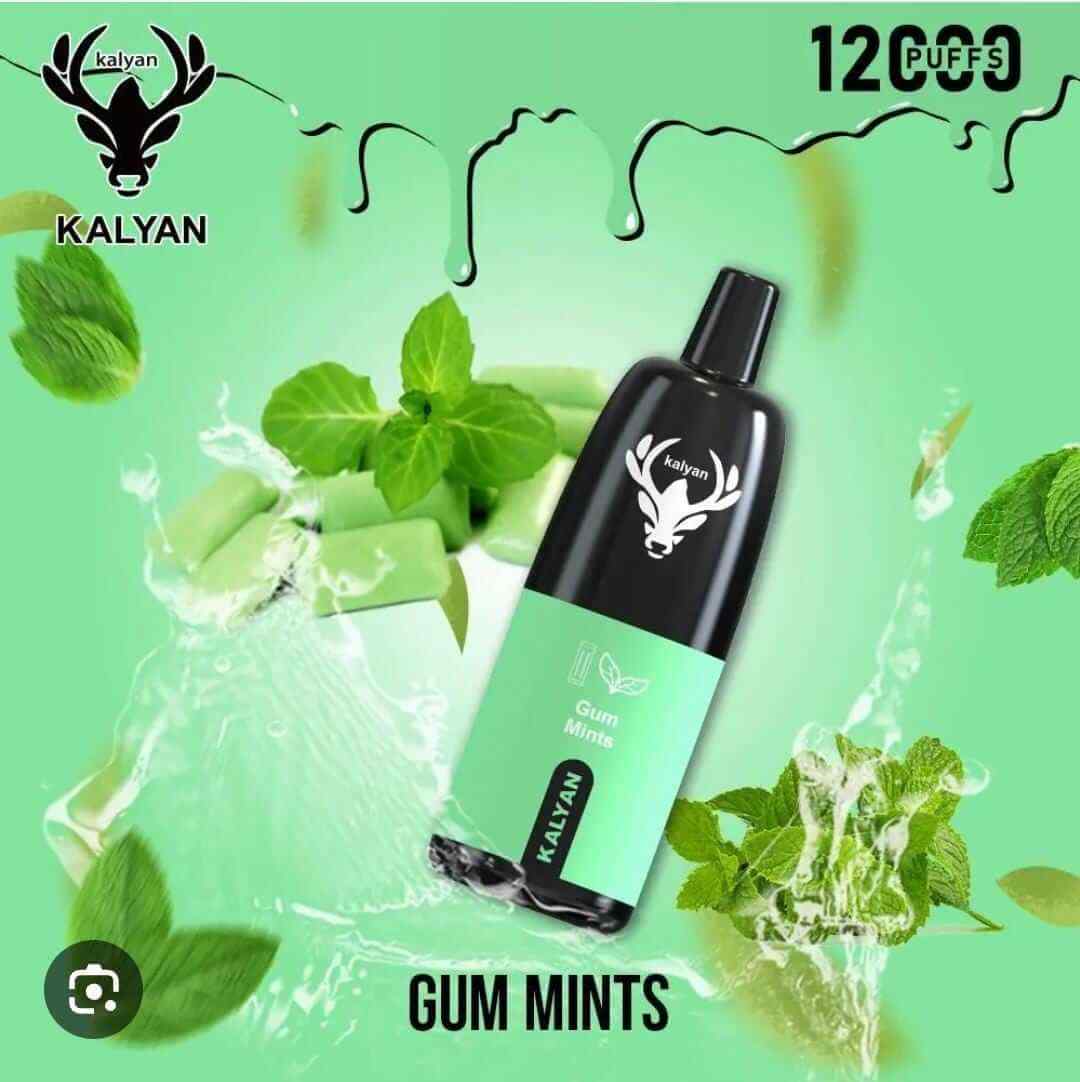 KALYAN Pro 12000 Puffs 50mg Disposable Vape in Dubai, UAE - Image 20