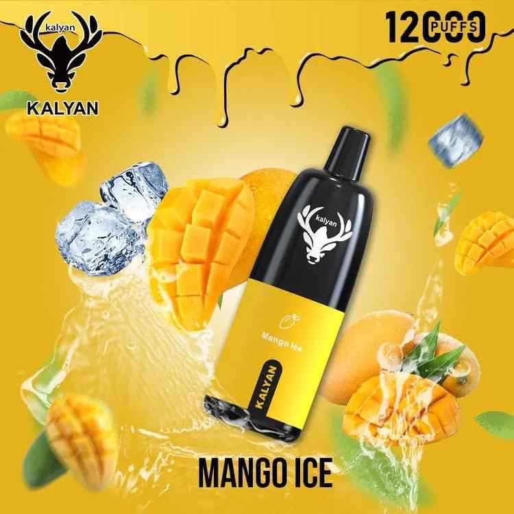 KALYAN Pro 12000 Puffs 50mg Disposable Vape in Dubai, UAE - Image 18