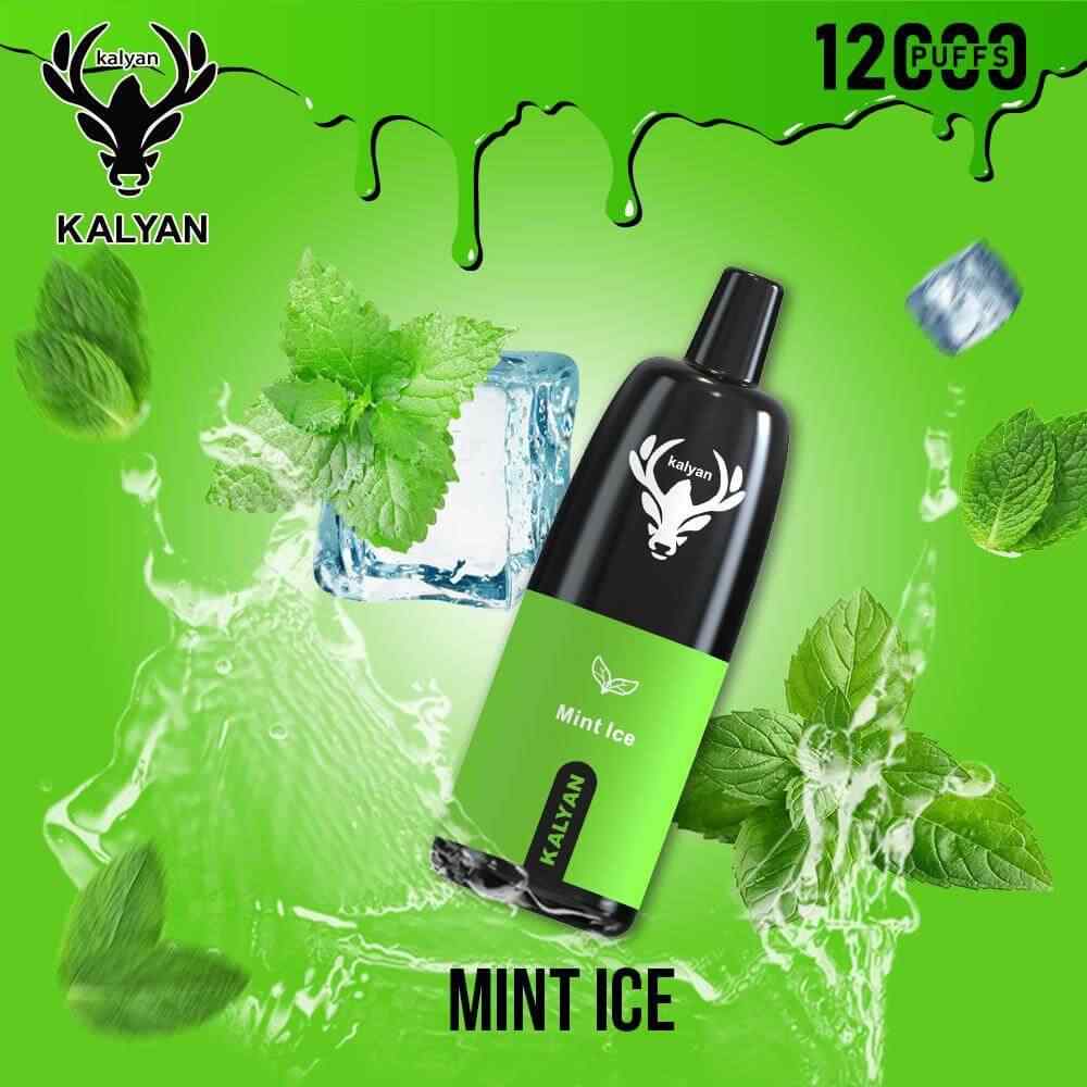 KALYAN Pro 12000 Puffs 50mg Disposable Vape in Dubai, UAE - Image 15