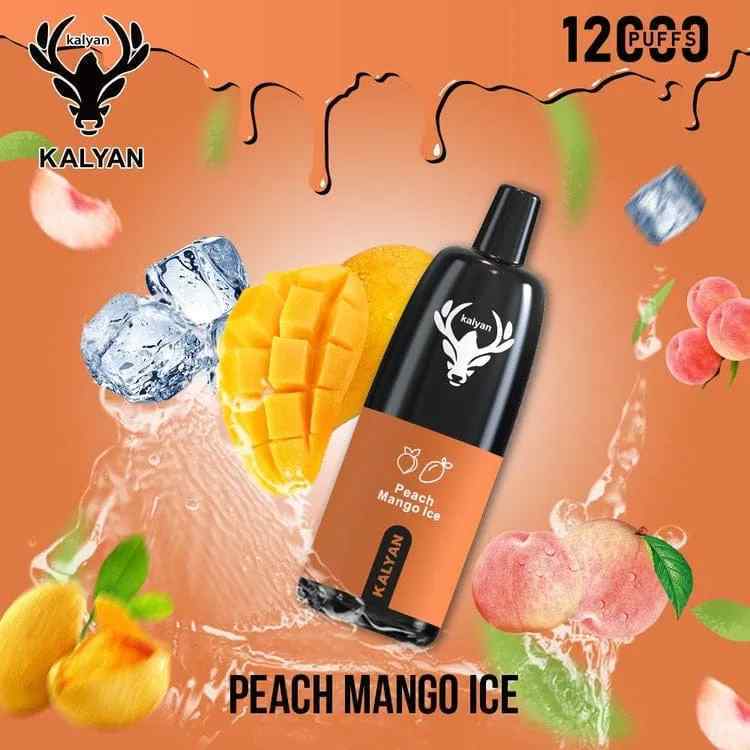 KALYAN Pro 12000 Puffs 50mg Disposable Vape in Dubai, UAE - Image 12