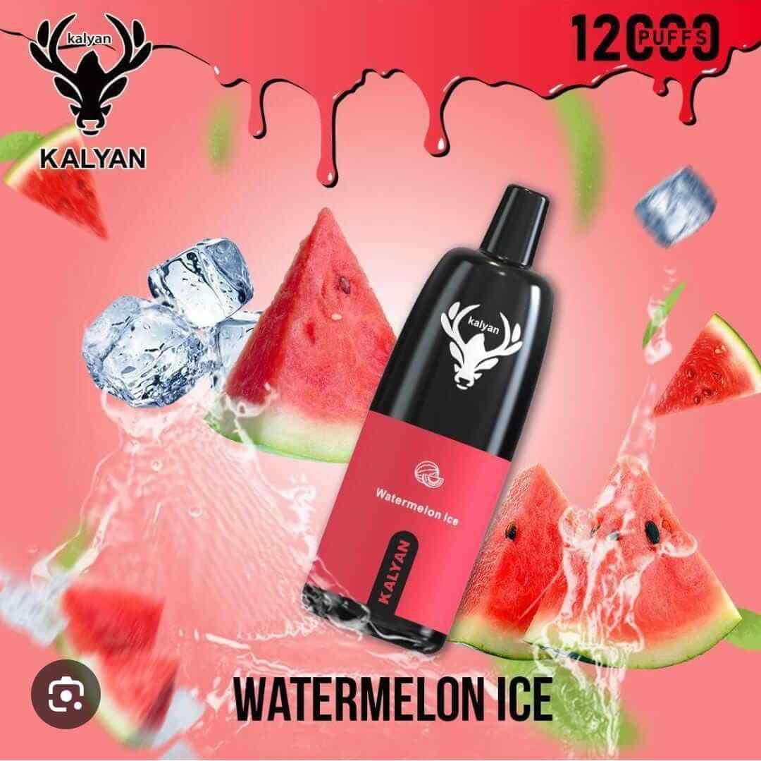 KALYAN Pro 12000 Puffs 50mg Disposable Vape in Dubai, UAE - Image 2