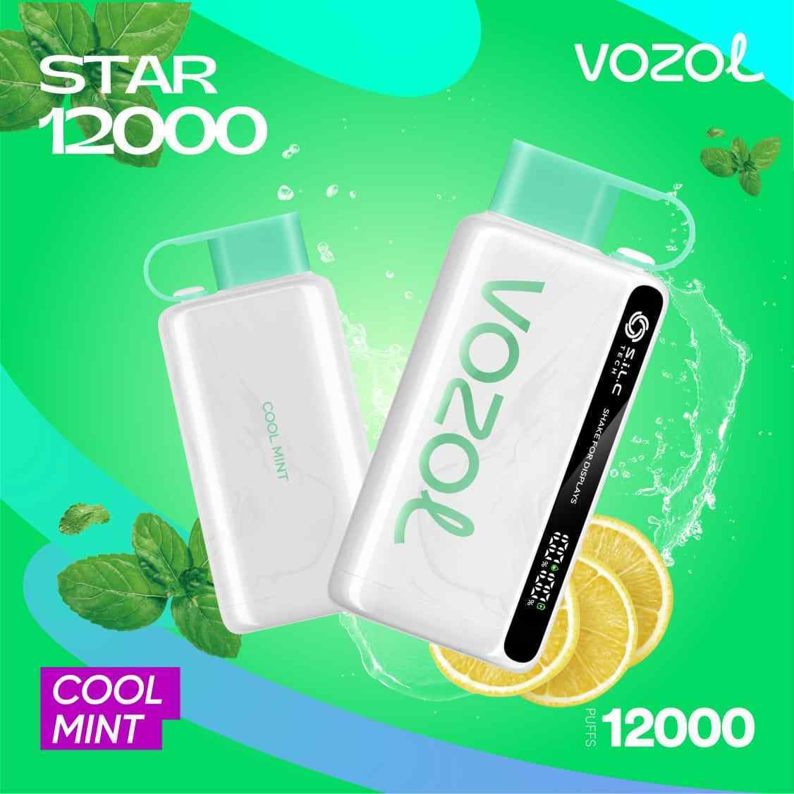VOZOL Star 12K 12000 Puffs 5% Disposable Vape in Dubai, UAE - Image 17