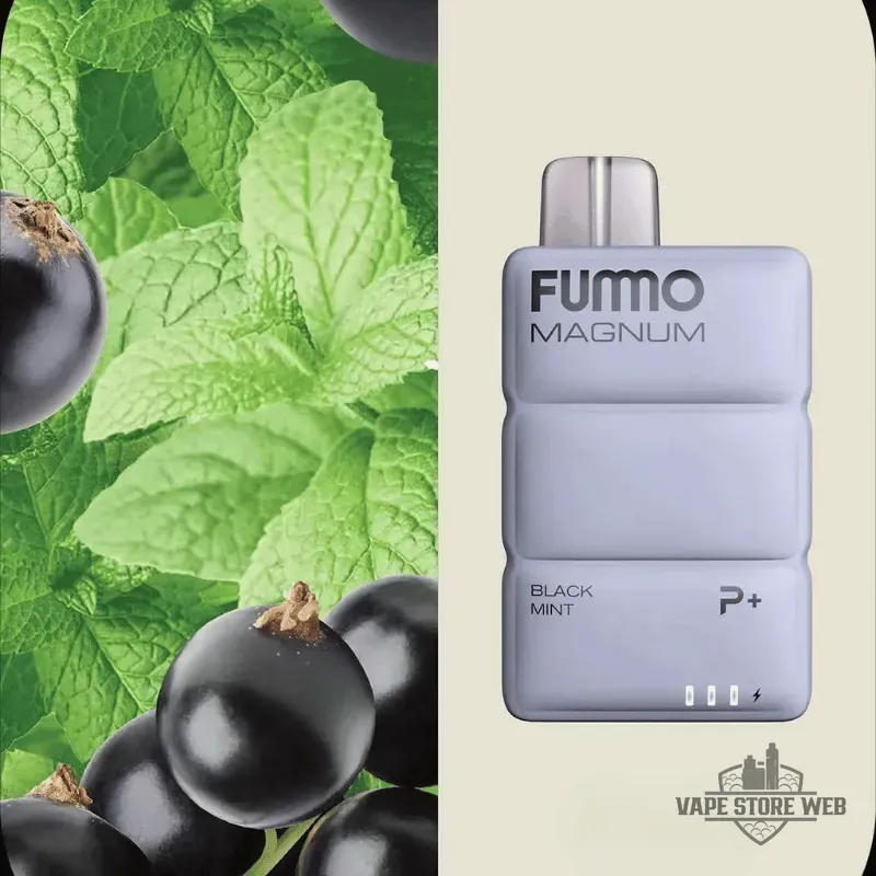 FUMMO Magnum 8000 Puffs 20MG Disposable Vape in Dubai - Image 2