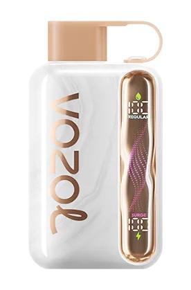 Vozol Star 40K Disposable Vape – Dual Mode Power & 40,000 Puffs in Dubai - Image 14