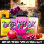 IGET BAR PRO 10000 Puffs 50mg Disposable Vape in Dubai