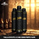 Yalla Evo DTL 0.3 Mg 12000 puffs Disposable Vape in Dubai