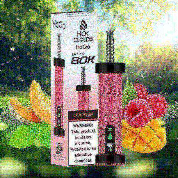 HoQa 80k puffs 5mg 0.5% nicotine Disposable Vape in Dubai - Image 5