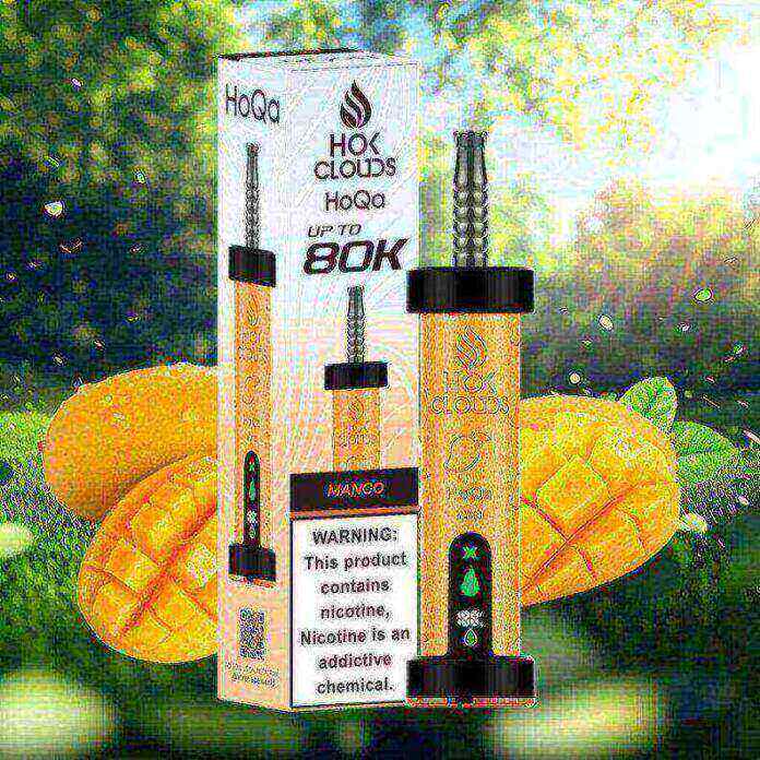 HoQa 80k puffs 5mg 0.5% nicotine Disposable Vape in Dubai - Image 6