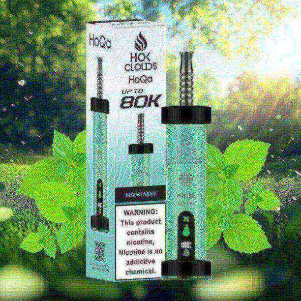 HoQa 80k puffs 5mg 0.5% nicotine Disposable Vape in Dubai - Image 7