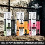 HoQa 80k puffs 5mg 0.5% nicotine Disposable Vape in Dubai