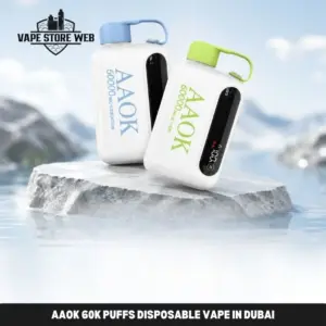 AAOK 60k Puffs Disposable Vape in Dubai